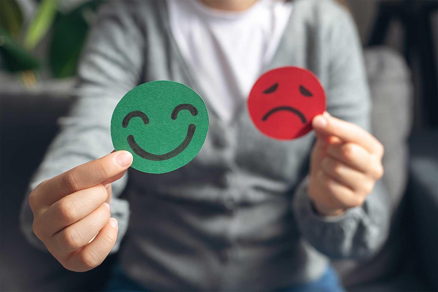 mood disorder balance emotion control, mental health